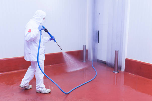 Best Commercial Pressure Washing in Avon, MN